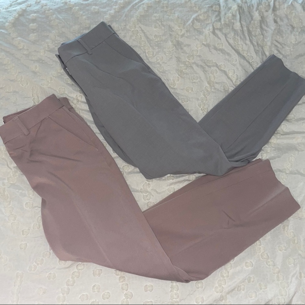 Express Columnist Ankle Pant